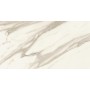 MARVEL MERAVIGLIA CALACATTA BERNINI MATT 30X60 Rectifié