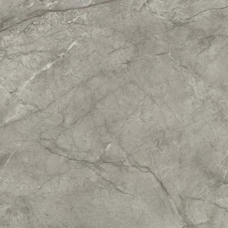 MARVEL MERAVIGLIA SILVER MAJESTIC LUCIDO 120X120 Rectifié