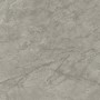 MARVEL MERAVIGLIA SILVER MAJESTIC LUCIDO 120X120 Rectifié
