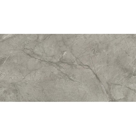 MARVEL MERAVIGLIA SILVER MAJESTIC LUCIDO 60X120 Rectifié