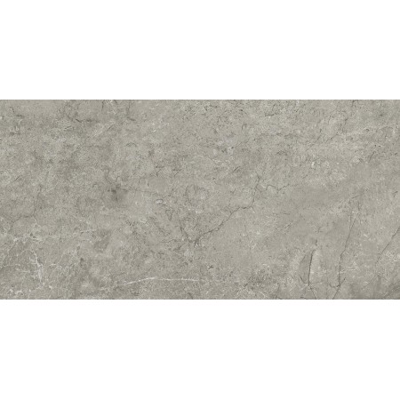 MARVEL MERAVIGLIA SILVER MAJESTIC LUCIDO 30X60 Rectifié
