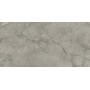 MARVEL MERAVIGLIA SILVER MAJESTIC MATT 60X120 Rectifié