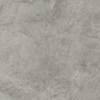 MARVEL MERAVIGLIA SILVER MAJESTIC MATT 60X60 Rectifié