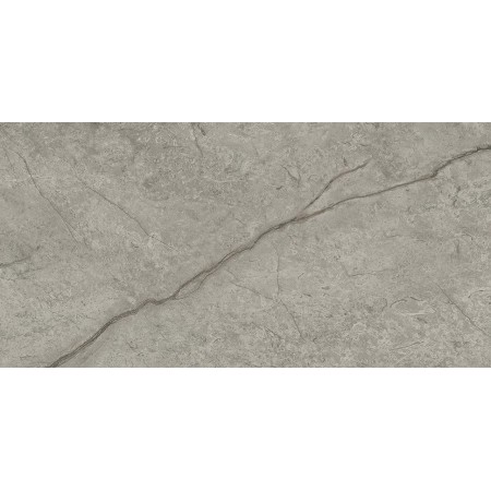 MARVEL MERAVIGLIA SILVER MAJESTIC MATT 30X60 Rectifié