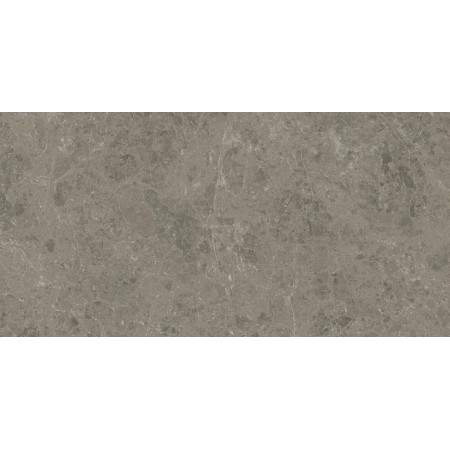 MARVEL MERAVIGLIA GRIGIO ELEGANTE LUCIDO 60X120 Rectifié