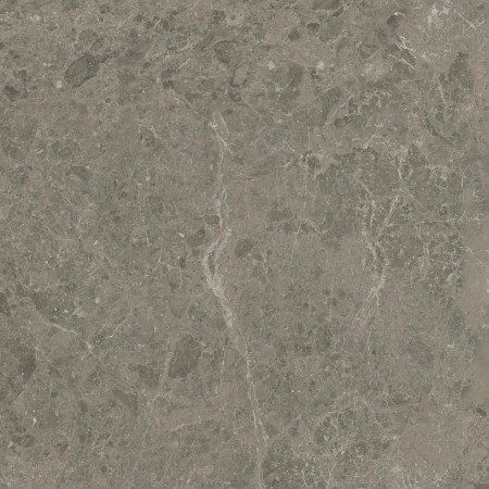 MARVEL MERAVIGLIA GRIGIO ELEGANTE MATT 60X60 Rectifié