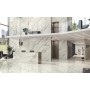 MARVEL MERAVIGLIA CALACATTA BERNINI LUCIDO 60X120 Rectifié