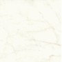 MARVEL SHINE CALACATTA DELICATO LUCIDO 120X120