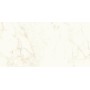 MARVEL SHINE CALACATTA DELICATO LUCIDO 60X120