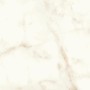 MARVEL SHINE CALACATTA DELICATO SILK 60x60