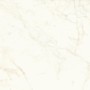 MARVEL SHINE CALACATTA DELICATO MATT 120X120