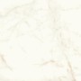 MARVEL SHINE CALACATTA DELICATO MATT 120X120