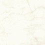 MARVEL SHINE CALACATTA DELICATO MATT 120X120