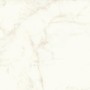 MARVEL SHINE CALACATTA DELICATO MATT 120X120