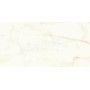 MARVEL SHINE CALACATTA DELICATO MATT 60X120