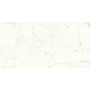 MARVEL SHINE CALACATTA PRESTIGIO SILK 75X150