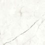MARVEL SHINE STATUARIO SUPREMO LUCIDO 120X120