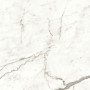 MARVEL SHINE STATUARIO SUPREMO LUCIDO 120X120