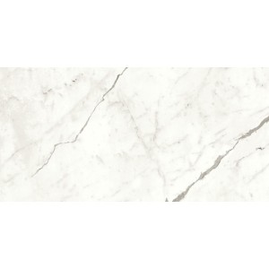 MARVEL SHINE STATUARIO SUPREMO LUCIDO 60X120