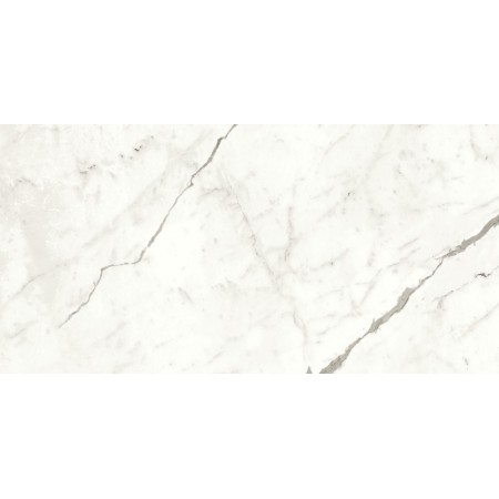 MARVEL SHINE STATUARIO SUPREMO LUCIDO 60X120