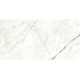 MARVEL SHINE STATUARIO SUPREMO LUCIDO 60X120
