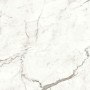 MARVEL SHINE STATUARIO SUPREMO MATT 120X120