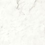 MARVEL SHINE STATUARIO SUPREMO MATT 120X120