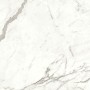 MARVEL SHINE STATUARIO SUPREMO MATT 120X120