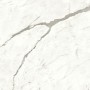 MARVEL SHINE STATUARIO SUPREMO MATT 120X120