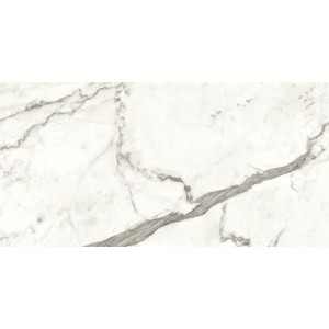 MARVEL SHINE STATUARIO SUPREMO MATT 60X120