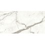 MARVEL SHINE STATUARIO SUPREMO MATT 60X120