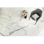 MARVEL SHINE STATUARIO SUPREMO MATT 60X120