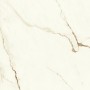 MARVEL SHINE CALACATTA IMPERIALE SILK 60x60