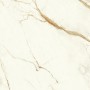MARVEL SHINE CALACATTA IMPERIALE LUCIDO 120X120