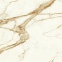 MARVEL SHINE CALACATTA IMPERIALE MATT 120X120