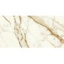 MARVEL SHINE CALACATTA IMPERIALE MATT 60X120