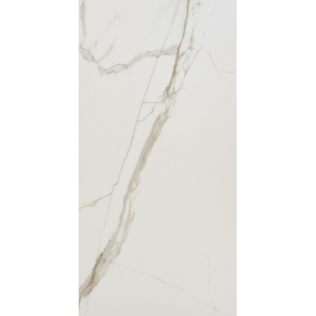 Calacatta Gold Glossy 60x120