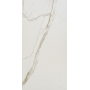 Calacatta Gold Glossy 60x120