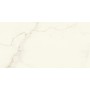 MARVEL X CALACATTA APUANO SILK 75X150 RET.