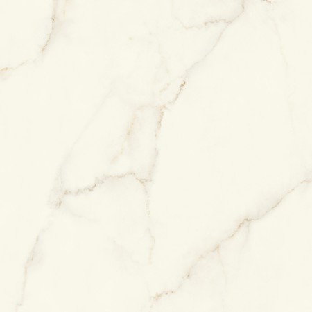 MARVEL X CALACATTA APUANO SILK 120X120 RET.