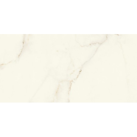 MARVEL X CALACATTA APUANO MATT 60X120 RECT.