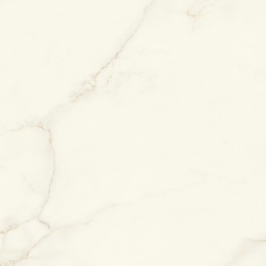 MARVEL X CALACATTA APUANO LUCIDO 120X120 RECT.