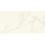 MARVEL X CALACATTA APUANO LUCIDO 60X120 RET.