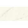MARVEL X CALACATTA APUANO LUCIDO 60X120 RET.