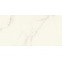 MARVEL X CALACATTA APUANO LUCIDO 60X120 RET.