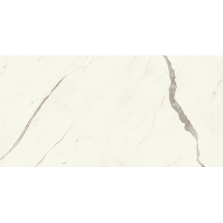 MARVEL X CALACATTA SUBLIME MATT 60X120 RET.