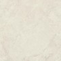 MARVEL X CALACATTA PERLA SILK 120X120 RET.