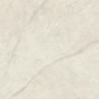 MARVEL X CALACATTA PERLA SILK 120X120 RET.