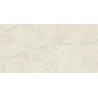 MARVEL X CALACATTA PERLA LUCIDO 60X120 RET.