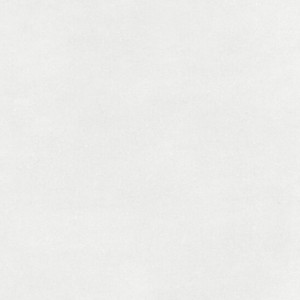 SLOW COLD GESSO R10 60X60 Rectifié